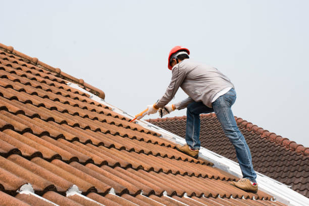 Best Rubber Roofing (EPDM, TPO)  in Lake Sherwood, CA